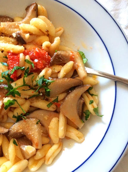 bellavite rosato o bianco e cavatelli con funghi cardoncelli